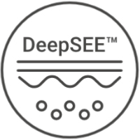 DeepSEE 아이콘