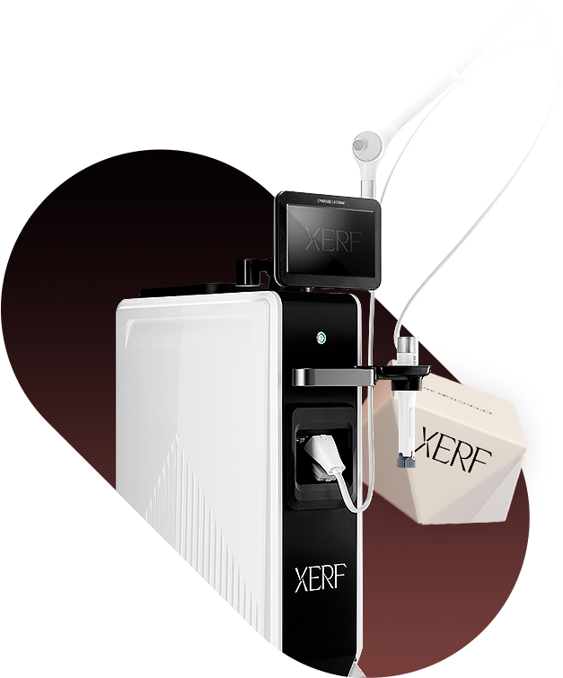 XERF 장비